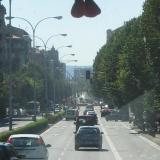 IMG_0084.JPG