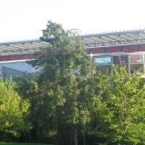 IMG_0181.JPG