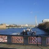 IMG_8139.JPG