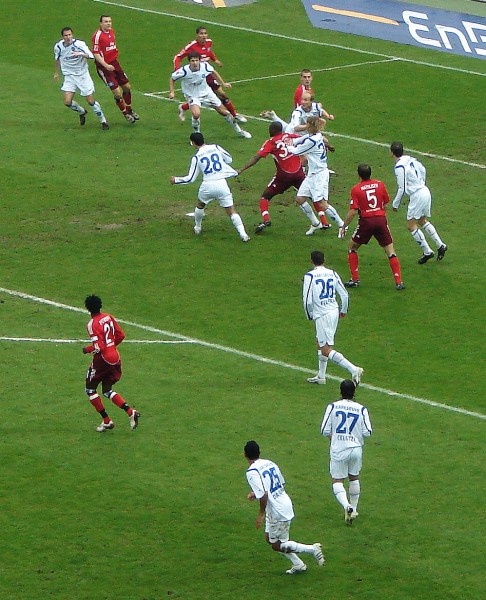 36.jpg