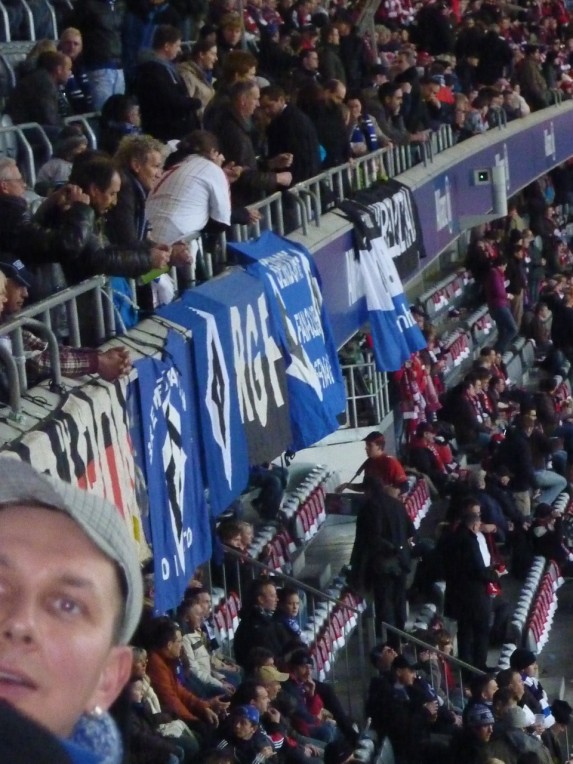 P1050353.jpg