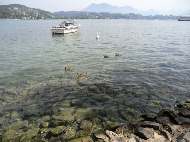 luzern_062.JPG