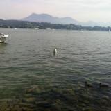 luzern_074.JPG