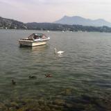 luzern_077.JPG