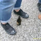 HSV_Kaiserslautern_028